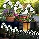Solarlampen für Außen Garten 2 Stück, IP65 Wassergeschützt Solar Blumen Außen Wetterfest, 5 Rosen Blütenblätter Solar Deko für Außen Garten, Solar Blumen Garten Deko Draußen, Büsche Deko(Weiß)