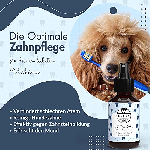 Belly® Dentalspray für Hunde -100ml- Frische Minze - Kein Spülen oder Bürsten - Beseitigt Mundgeruch - Zahnpflege Hund - Anti Zahnstein und Mundgeruch Hund, Dentalspray für Katzen