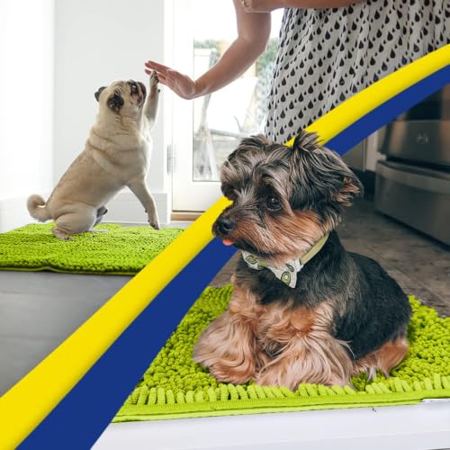 Image of Muddy Mat | Super Water Absorbent Door Mat Indoor, Microfiber Quick Dry Chenille Entryway Rug,Slip Resistant Front Door Mat,Indoor Mats for Entryway,Machine Washable Pet Rug, Spring Green 24 inch x 44 inch