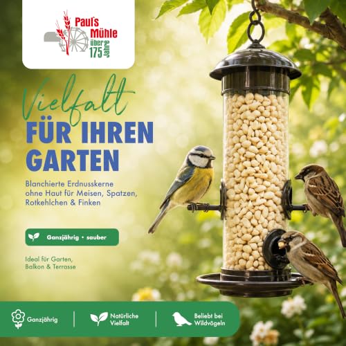 Paul´s Mühle - 10 kg Erdnüsse Weiss, blanchiert ohne Haut Neue Ernte 2026