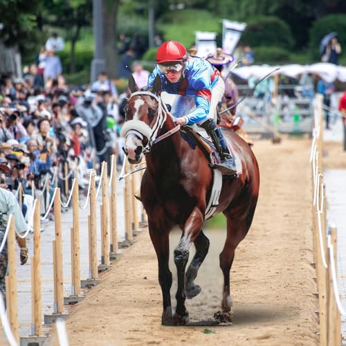 Image of Marsui 6ft Horse Racing Party Decorations Derby Day Decor Horse and Jockey Cardboard Cutout Stand up Life Size Derby Party Photo Props Animals Decor for Rodeo Western Equestrian Events Supplies