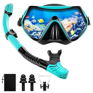 Schnorchelset Erwachsene Trocken mit Maske & Schnorchel Antibeschlag 180°-Panoramablick Schnorchelset Damen Herren zum Schnorcheln Schwimmen Strandurlaub