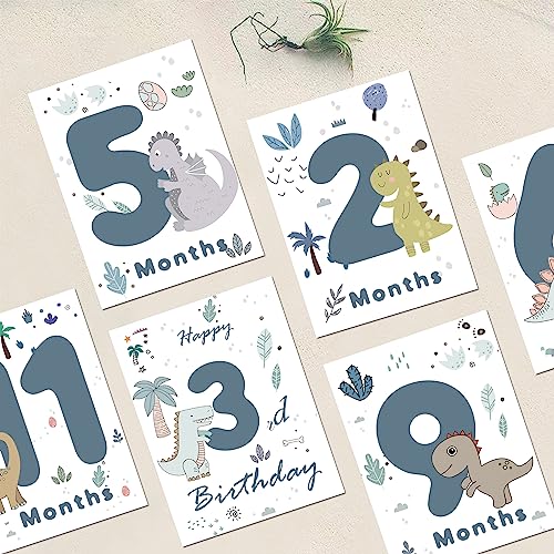 POWER FLOWER 16 carte unisex per le foto delle