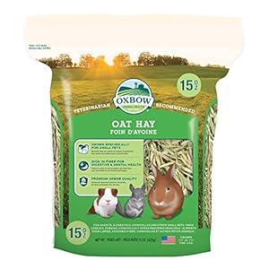 Oxbow Animal Health Oat Hay – All Natural Hay for Rabbits, Guinea Pigs, Chinchillas, Hamsters & Gerbils – 15 oz.