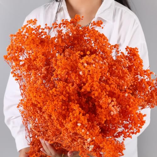 Ramo de flores secas Babys Breath 17 pulgadas naranja miniatura 2