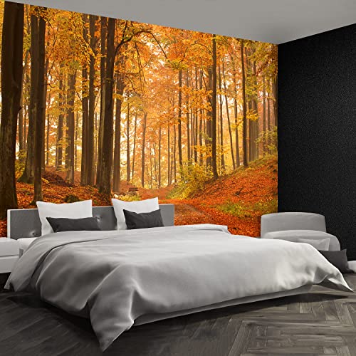 Papier Peint Grand Format Forêt Automne Tulup Décoration Premium - 4
