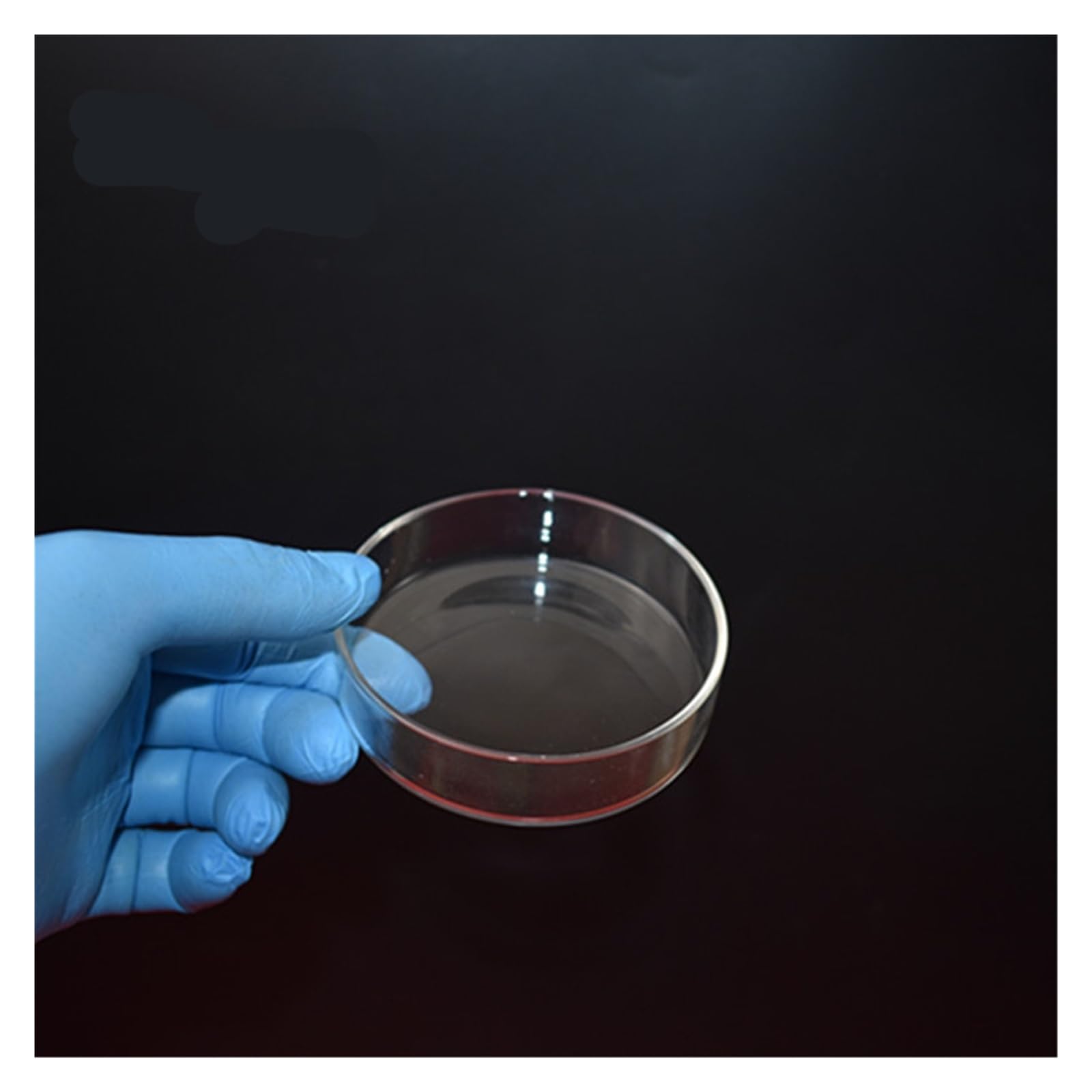 MENGKE 5 Unids/lote 120 MM Placa De Petri De Vidrio De Alta Calidad For Placa De Laboratorio Diámetro De Levadura Bacteriana