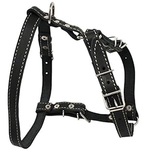 Real Leather Dog Walking Harness Medium Black, 21″ – 26″ Chest