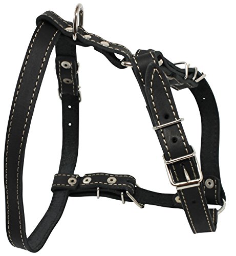Real Leather Dog Walking Harness Medium Black, 21″ – 26″ Chest Real Leather Dog Walking Harness Medium Black, 21″ – 26″ Chest