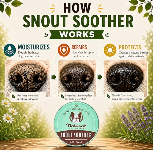 Natural Dog Company Snout Soother Dog Nose Balm, 0.15 oz Travel Stick | Moisturizer for Dry Crusty Noses, Coconut Oil & Shea Butter, Summer Care for Outdoor Dogs, Hot Weather & Beach Days