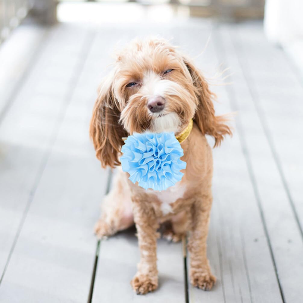 Ipetboom Pet Flower Bow Ties Set 10 Pieces Dog Collar Accessories Dogs Flowers Collar Clip on for Daily Party Wear