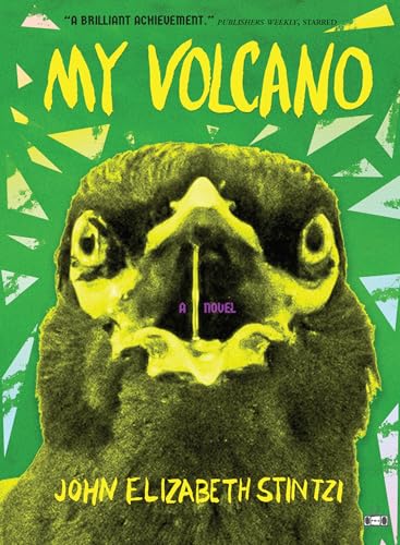 My Volcano view 2