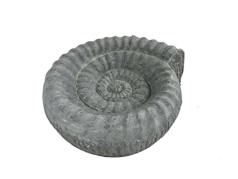 jetzt stark reduziert: Gartendeko - VOGELBAD AMMONITO - betongrau 46x42x14
