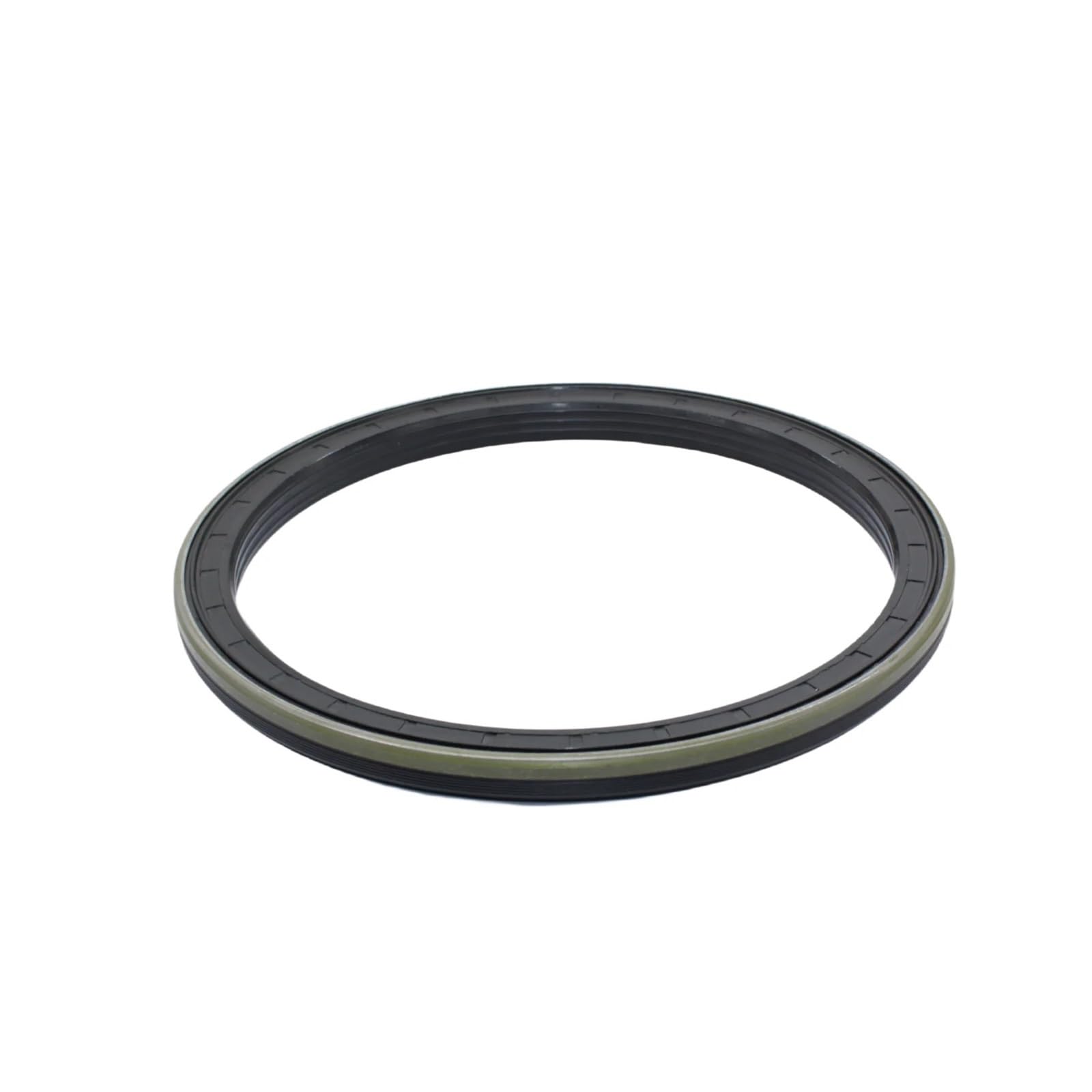 EXBWXNIL Oil Seal 165x195x10/13