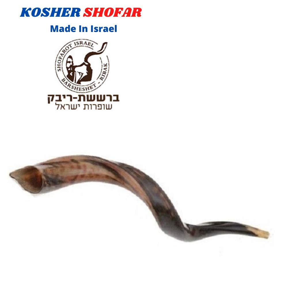 40,6 - 48,3 cm natürliches, authentisches Koscher-Yemenit Kuduhorn Schofar jüdisch – Israel