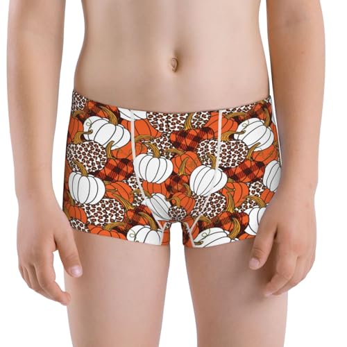Boys' Cotton Boxer Brief Soft Underwear-Various Pumpkins