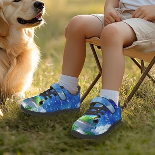 Little Kid Boys Girls Lightweight Breathable Sneakers Strap Athletic Tennis Shoes for Running Walking Frog Pattern3