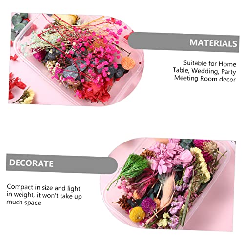 Flores secas naturales para manualidades DIY, ecoamigables miniatura 2