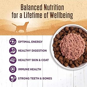 Wellness Pure Pet Meals 95 Rooster Pure Moist Grain Free Canned Canine Meals 132ounce Can pack of 12  Cucciolini Doodles Wellness pure pet meals 95 rooster pure moist grain free canned canine meals 13 2 ounce can pack of 12   cucciolini doodles