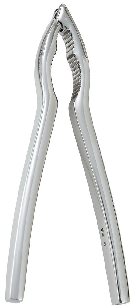 WincoLobster er, Stainless Steel