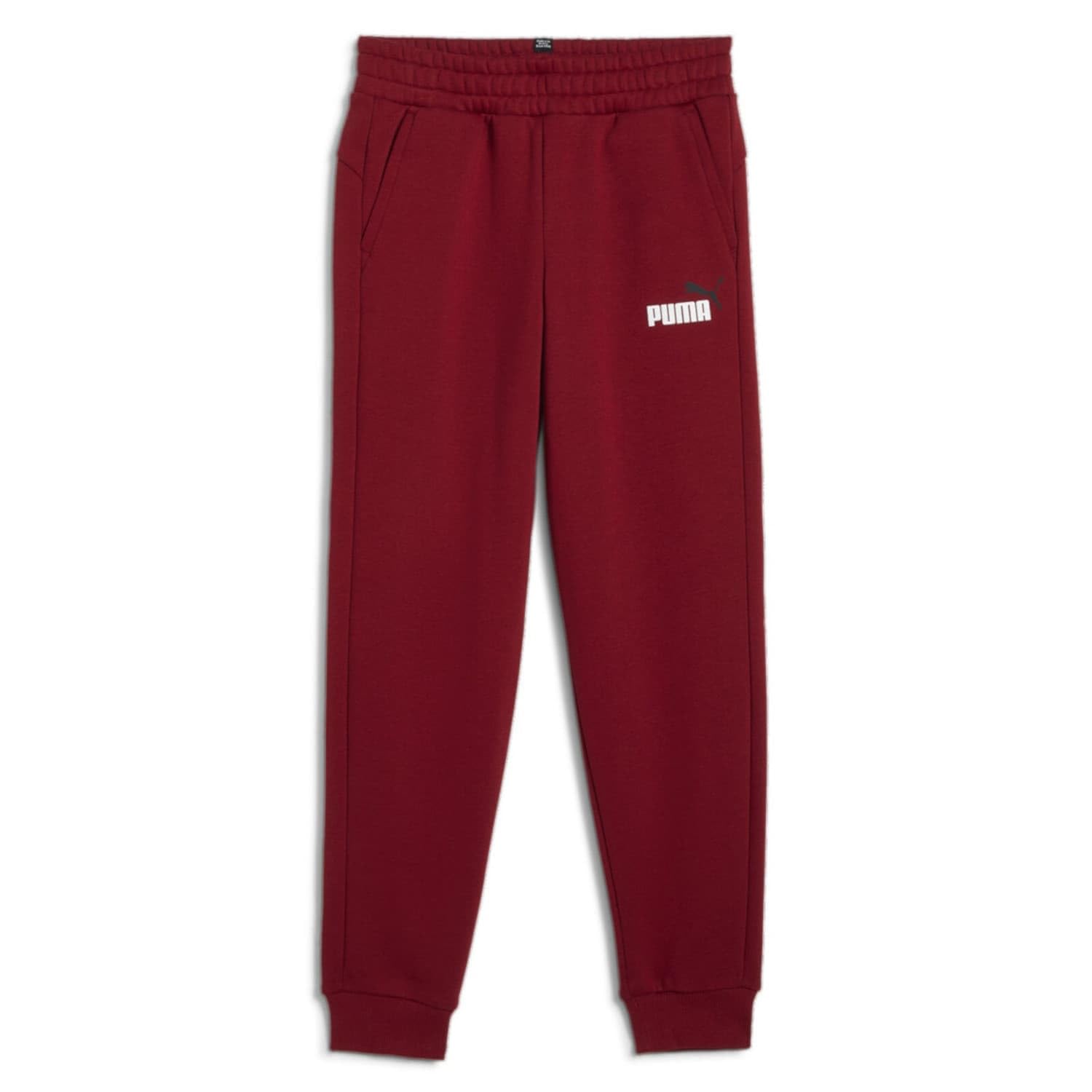 PUMA ESS+ 2 Col Logo Pants FL cl B