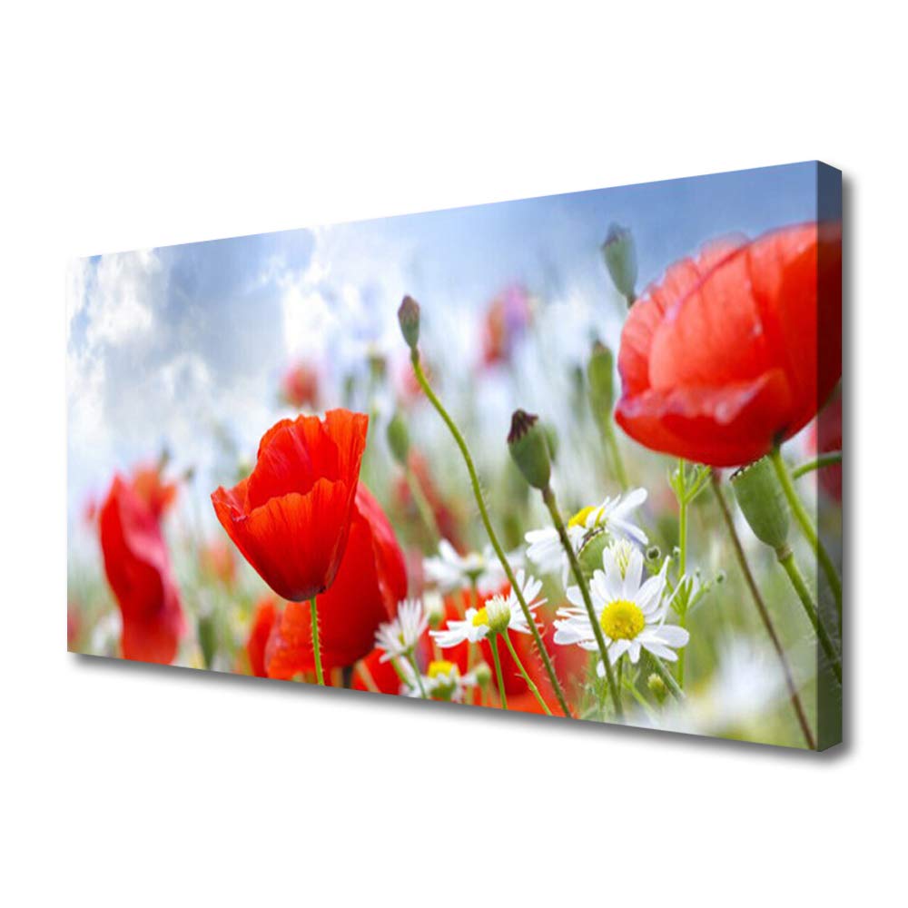 Tableau moderne coquelicots marguerites 100x50cm impression sur toile déco murale salon