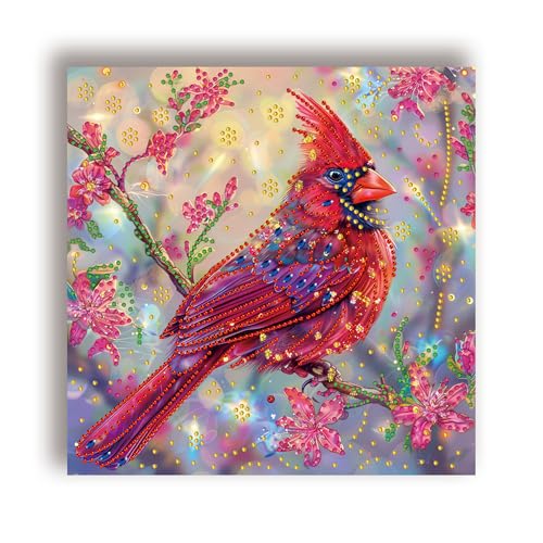 Kit broderie diamant 5D oiseau Noël 30x30 cm pour adultes débutants