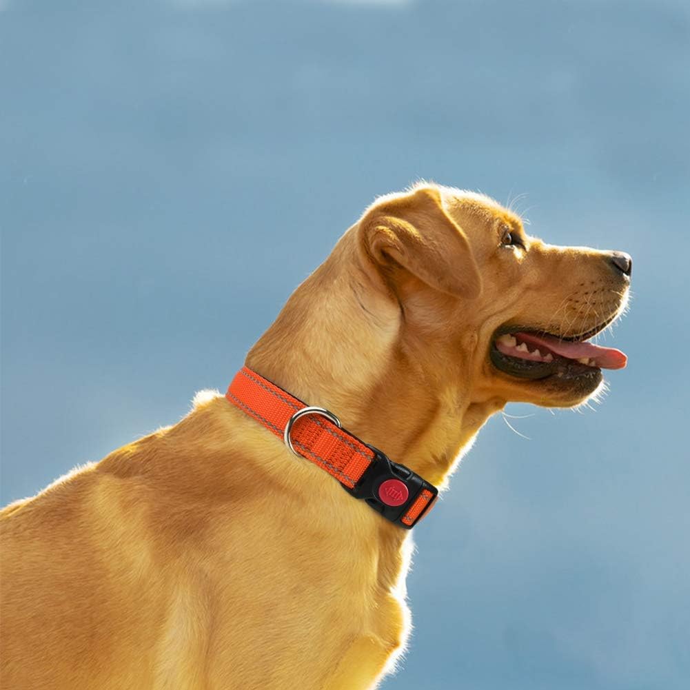 Taglory collare per cani, Imbottito Nylon Regolabile Traspirante Riflettente Collari per Cani di Taglia Media, Arancione