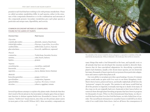 Bringing Nature Home: How You Can Sustain Wildlife with Native Plants, Updated and Expanded - Image 4
