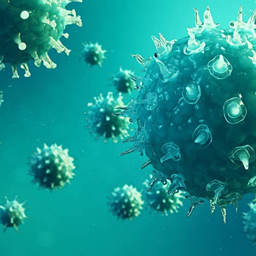 Episode 146 - Bacteria vs Virus