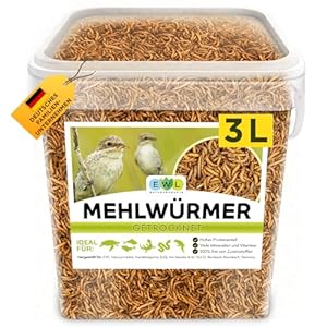 Mehlwürmer getrocknet 3L, Premium Insektensnack Vögel, Fische, Schildkröten, Nager, Igel, Reptilien, Vogelfutter Wildvögel Ganzjährig Eichhörnchen Futter Hamsterfutter Igelfutter (460g)