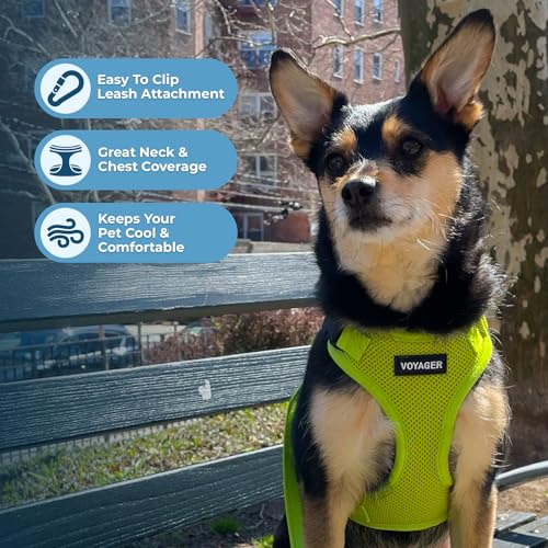 Image of Voyager Step-in Pet Harness - All Weather Mesh, Adjustable Step in Harness for Cats and Dogs by Best Pet Supplies - Lime Green, M