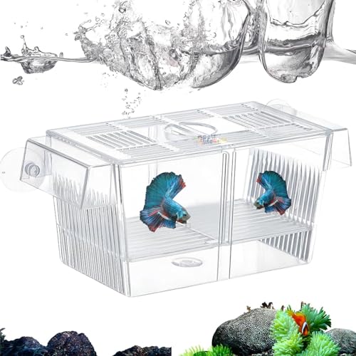 Image of VAYINATO Fish Breeding Box Tank Hatchery Incubator Aquarium Isolation Box For Baby Shrimp Guppy Fh-101 By Petzlifeworld