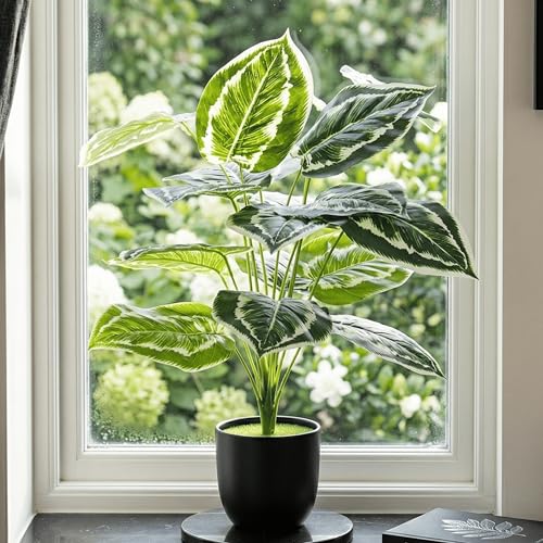 Image of Dekorly Plastic Artificial Palm Plants Leaves Faux Turtle Leaf Fake Monstera Tropical Large Palm Tree Leaves Outdoor Leaf Decorations | 26Inch Plants with Blackpot (Calathea)