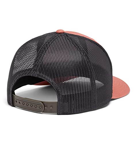 Image of Columbia Unisex Adult PFG Logo Mesh Ball Cap