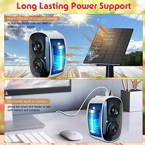 Cozion Stazione di alimentazione per uccelli