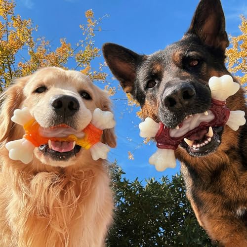 Save 50% on Tough Dog Toys for Aggressive Chewers - Image 8