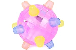 Jumping Activation Ball for Dogs: Unleash Energy and Joy!