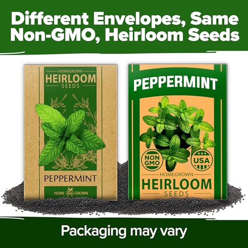 HOME GROWN Peppermint Seeds 2 Pack (Mentha × piperita) – 4,740 Heirloom Mint Seeds for Planting – Grow Indoors or Outdoors, Kitchen Herb Garden Favorite - Image 8