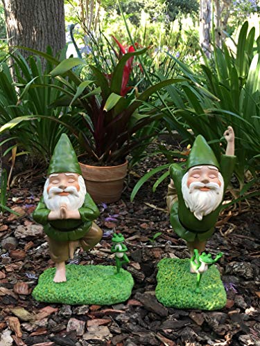 GlitZGlam Gnomo Zen e Rana Zen - Posa Signore