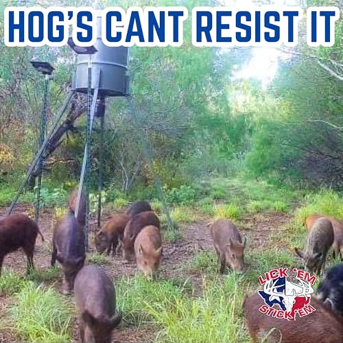 Lick Em Stick Em Pig Nasty 4lb Hog Attractant for Wild Boar & Hog Hunting | Sweet Scent, Granular Formula for Feeders & Bait Sites | Supports Digestion & Wildlife Health | 10 Pack - Thumbnail 6