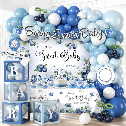 Fexivo Blueberry Baby Shower Decorations All-in-One Decor Set
