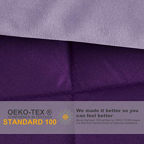 Seward Park Solid Color Reversible Comforter, Hypoallergenic Plush Microfiber Fill, Duvet Insert or Stand-Alone Spring or Summer Comforter for Dorm, Lightweight, Twin Extra Long, Plum/Purple