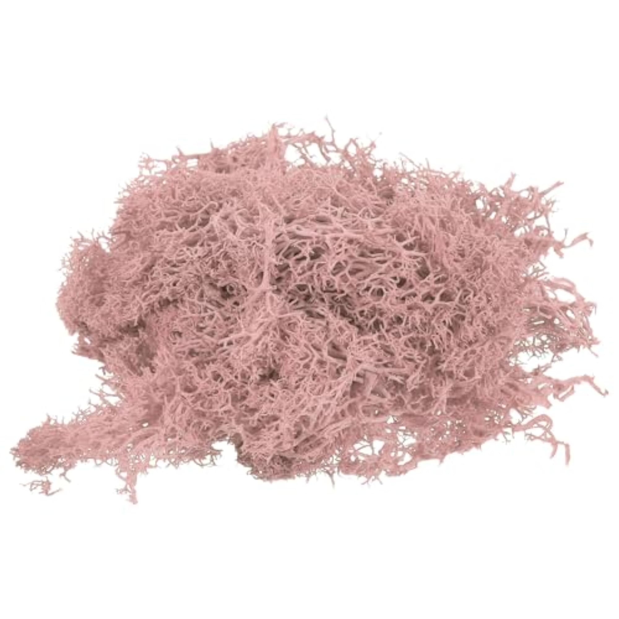 Natural Preserved Moss for Craft and Floral Projects