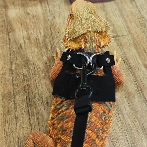 Arnés para dragón barbudo que evita escapes con chaleco ajustable de paseo 4