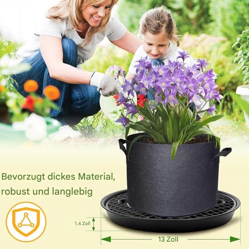Soucoupes d'irrigation pour stopper les fuites et sécheresses