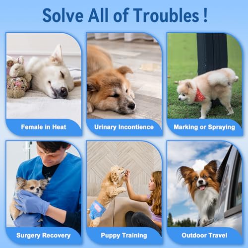 Image of Pet Soft Dog Diapers Female, Disposable Dog Diapers, Cat Diaper for Female Cats, Puppy Diaper 8pcs Small