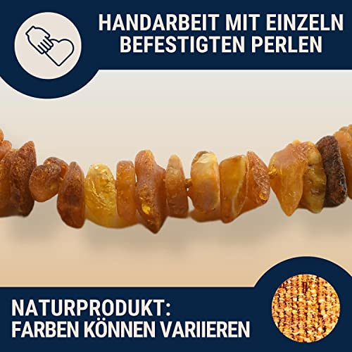 Nosli Bernsteinkette Halsband für Hunde und Katze • Hundehalsband Baltischer Bernstein • Bernstein Halsband • Länge: 20cm