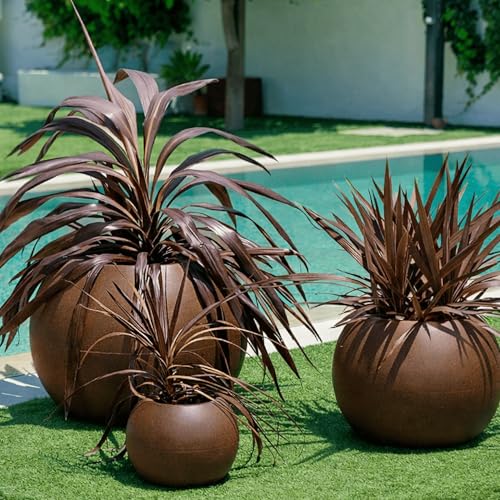 newgarden Dalia Pot Rond pour Fleurs et Plantes, très résistant à l'extérieur, Plusieurs Tailles Disponibles. Inclut la réserve de Drainage de l'eau....