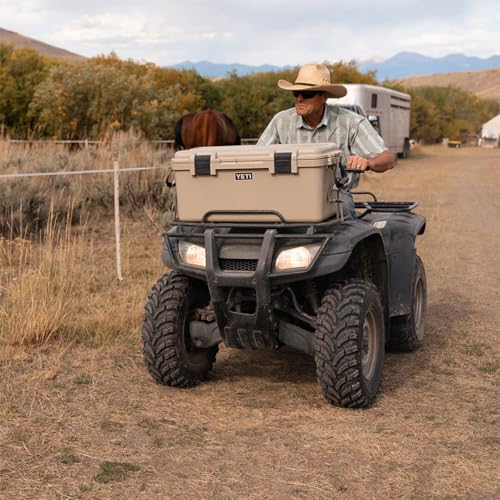 Image of YETI LoadOut 60 GoBox Divided Waterproof Cargo Case, Dry Box, Camera Case, Fishing Tackle Box, Black